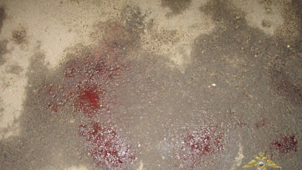 В Самарской области приезжий изрезал ножом женщину на улице