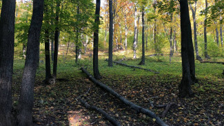 Гороскоп на 20 сентября: трем этим знакам стоит опасаться потери денег