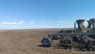 В южных районах Самарской области началась посевная кампания