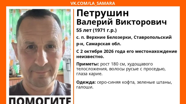 В Самарской области ищут 55-летнего Валерия Петрушина в зеленых штанах и галошах