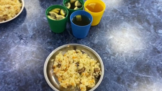 В Самарской области 11 апреля откроют тестовое бронирование путевок в детские лагеря