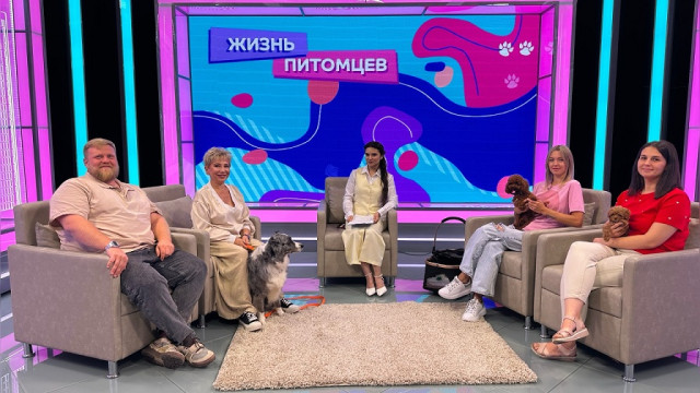 «Жизнь питомцев»: о любви, воспитании и здоровье братьев наших меньших 