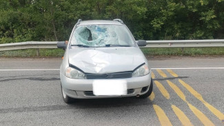 В Самарской области “Калина” сбила 14-летнего мальчика на обочине 