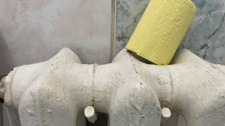 Самарцам напомнили, почему так важно вовремя посещать уборную