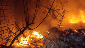 Полыхало под Самарой: крупный пожар разгорелся на свалке в ночь на 6 апреля