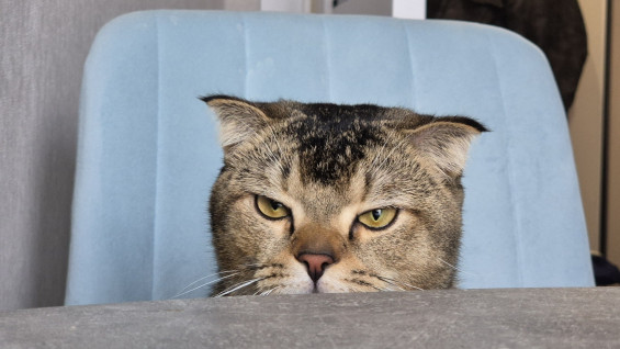 Самарцам назвали способ возвращения к работе после праздников без стресса