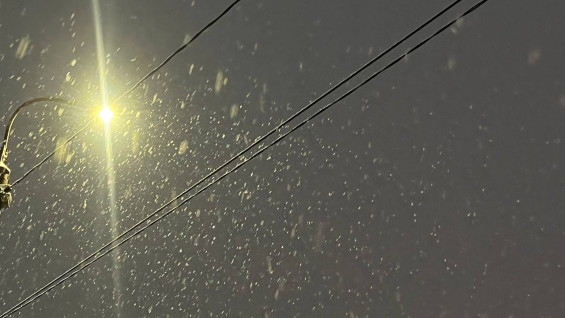 Самарцам рассказали как правильно ухаживать за кожей и волосами зимой