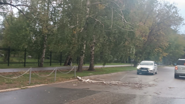 Ураганный ветер 25 августа обрушил деревья в Самаре