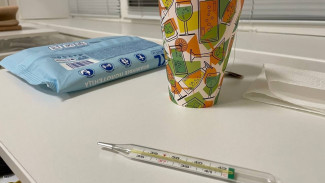 Турецкий вирус опасно приблизился к Самарской области 