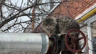 В Самаре управляющие компании оштрафуют за отсутствие терморегуляторов