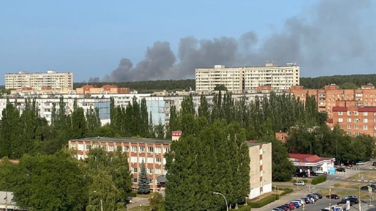 Срочно! В Тольятти горит лес! Хроника большого пожара - видео – Новости  Самары и Самарской области – ГТРК Самара