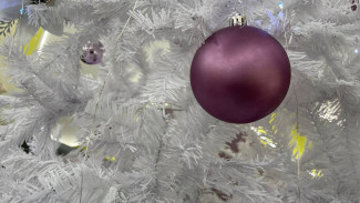 Самарцев ждут рекордно длинные новогодние каникулы 2025-2026