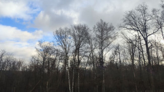 Снег вернется в Самарскую область к 14 ноября