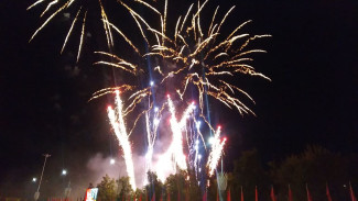 Стало известно, где и во сколько состоится салют в Самаре 9 мая