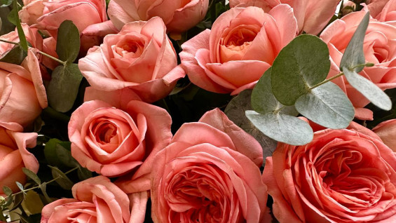 Самарцам начали распространять опасные открытки на 8 Марта