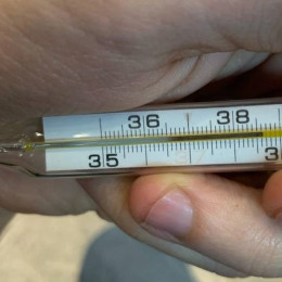 500 человек под наблюдением: В 300 км от Самары обнаружен очаг смертельной болезни 