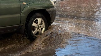 Самарцев предупредили о штрафах за испачканный собакой автомобиль