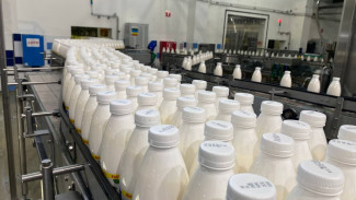 Продажа просроченной «молочки» за год сократилась в 122 раза