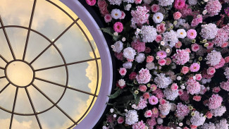 В эти числа придет удача и успех: точный прогноз астрологов на март 2024 года