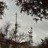 Российская ПВО сбила над регионами два американских снаряда