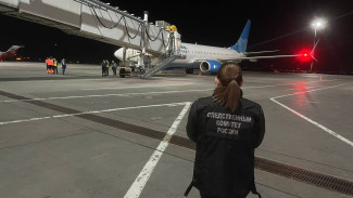 Самолет из Петербурга 3 апреля при посадке в аэропорту Самары столкнулся с птицами
