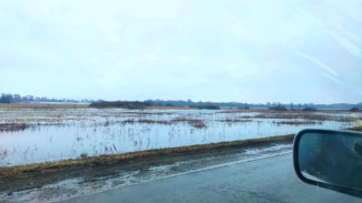 Названы территории под Самарой, которые могут уйти под воду