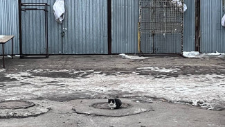 Самарцам рассказали, почему на сухие дороги зимой сыпят реагенты