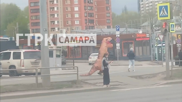 На Московском шоссе в Самаре заметили бегущего динозавра