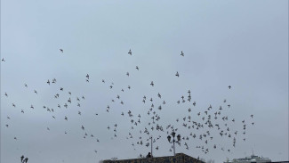 30 марта в Самарской области повторно объявили угрозу атаки БПЛА