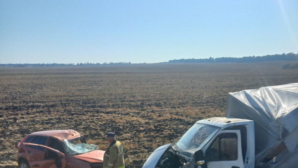 1 погибший и 2 пострадавших: подробности лобового ДТП под Самарой