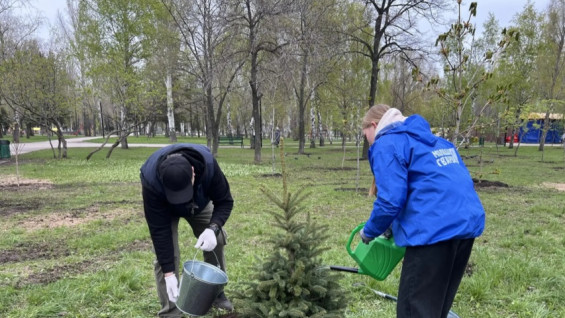 В Самаре в Парке Победы высадили ели и каштаны и развернули символ Славы  