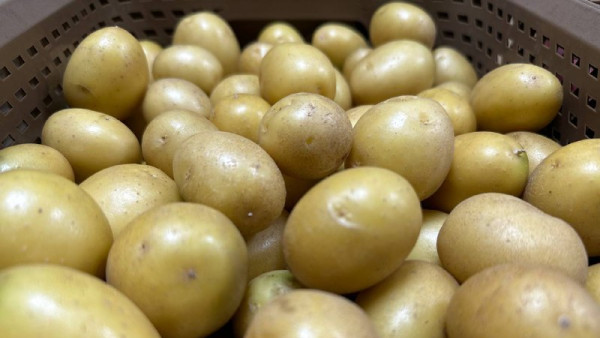 В Самарской области введут ГОСТ на чипсы с 1 апреля