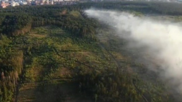 В Самарской области завели уголовное дело из-за лесного пожара в Тольятти