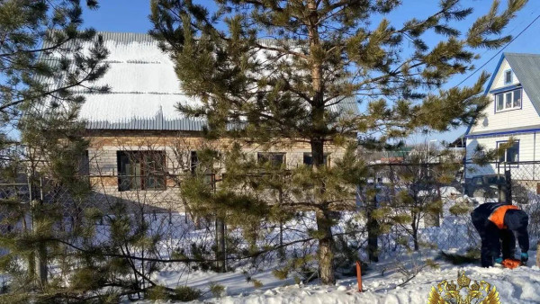 Самарский пенсионер расчленил друга и получил 10 лет строгого режима