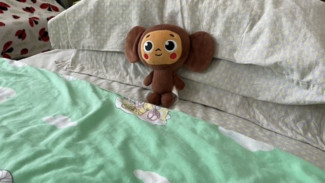 Появится ли в самарских школах тихий час для первоклашек?