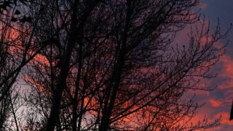 В небе над Самарой появились ярко-красные вспышки в ночь на 16 ноября