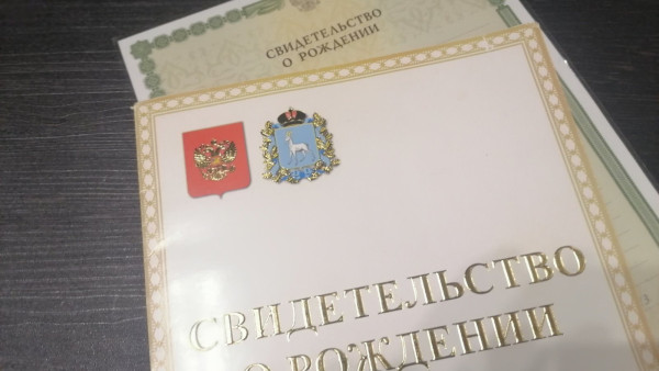 «Придумала восьмого ребенка»: жительницу Самарской области подозревают в мошенничестве на 528 тыс рублей 