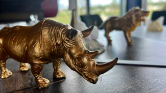 Гороскоп на 11 ноября: в этот день представителей четырёх знаков ждет кармическая встреча