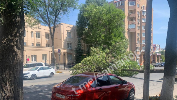 В Самаре рухнувший огромный карагач перекрыл улицу Красноармейскую напротив прокуратуры  