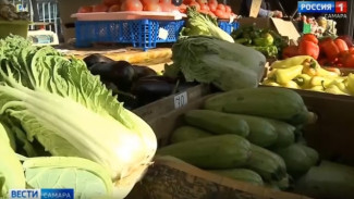 В Самаре открылись сезонные сельскохозяйственные ярмарки