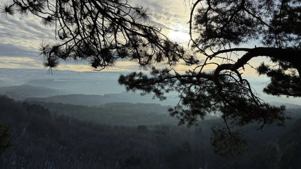 В Самарской области ввели режим повышенной опасности из-за погоды 17 февраля