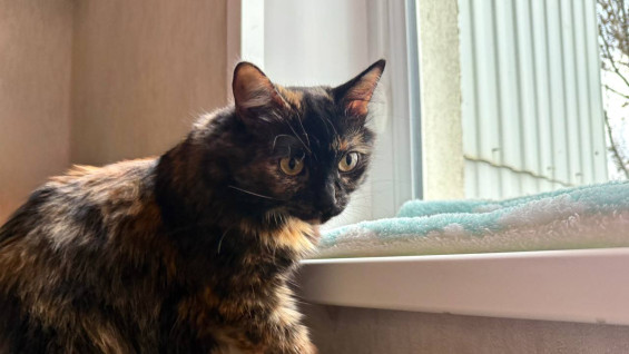 На десяти улицах Самары отключат холодную воду 10 декабря