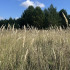 Самый страшный грех 17 сентября: почему в Луков день нельзя разжигать костер 