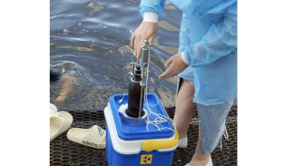 В Самарской области выявили 6 зараженных пляжей