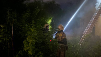 Самарская жара разожгла стихию: 24 пожара за сутки - тревожная статистика от МЧС