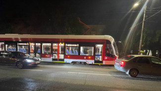 В Самаре до конца марта должно появиться ещё 20 "львят"