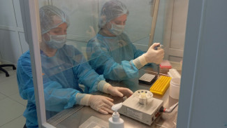 Стала известна судьба контактировавшего с больным холерой самарца