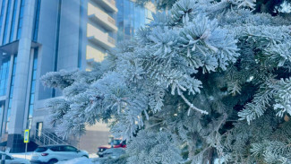 Туманы и снег снова придут в Самару на неделе с 4 по 10 марта