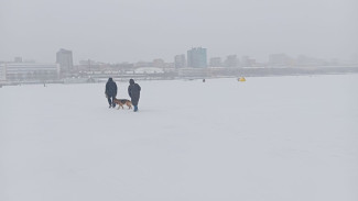 Самарцам рассказали, как защитить сердце в февральские холода 