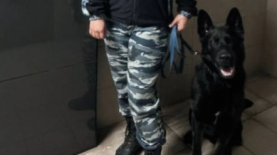 В Самарской области служебная собака помогла найти пропавшую 13-ти летнюю девочку